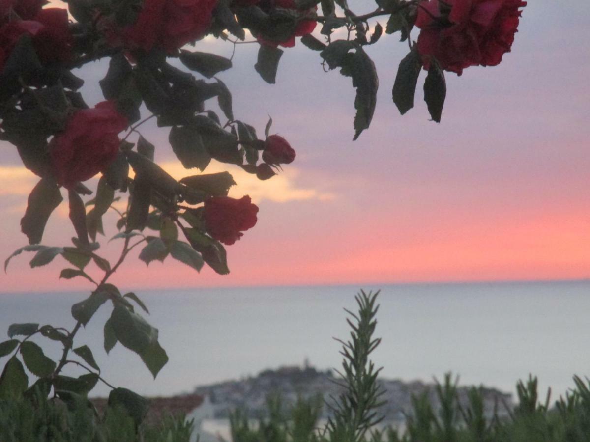 Apartment Santa Marina Primošten Εξωτερικό φωτογραφία